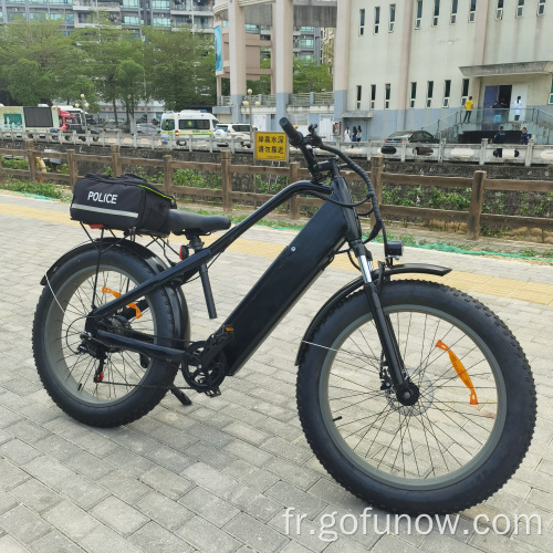 Batterie au lithium 750W Bike électrique à vélo électrique 48V